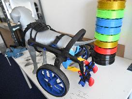 AnyOneGo, prosthetics and wheelchairs for animals