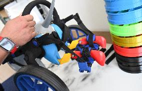 AnyOneGo, prosthetics and wheelchairs for animals