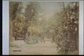 Approach to Kasuga Taisha Shrine