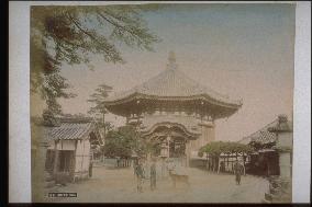 Temple in nara