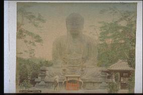 Daibutsu (the Great Buddha) of Kamakura