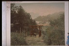 Byobu torii gate at the approach to hakone shrine