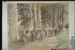 Travelling in kago,palanquins along hakone highway