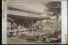 The garden of a teahouse