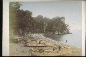 Beach at tomioka hachimangu shrine