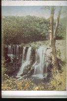 The Jikan Falls,Nikko