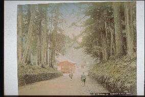 The approach to Toshogu Shrine,Nikko