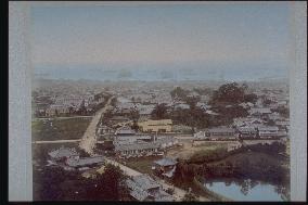 Town and harbour from hill