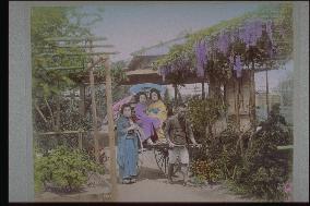 Wisteria trellis and girls in a jinrikisha,a man-pulled cart