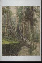 Stone steps on the approach to the Okusha,Toshogu Shrine,Nikko