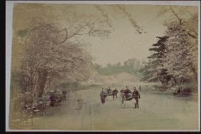 Ueno Park