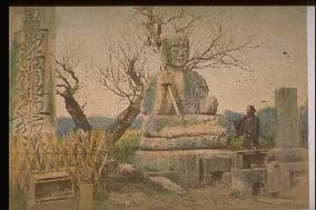 Statue of buddha in the fields of nara