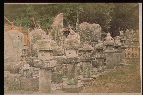 Stone lanterns in nara