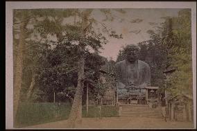 Daibutsu (the Great Buddha) of Kamakura