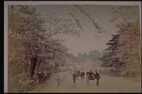Ueno Park