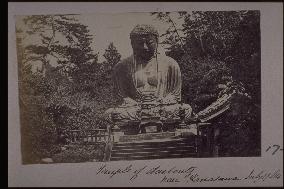Daibutsu (the Great Buddha) of Kamakura