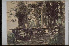 Travellers in kago,a palanquin