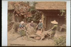 Wheat-threshing