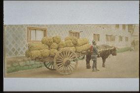 Cart loaded with bags of rice