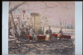 Cherry blossoms in nogeyama park