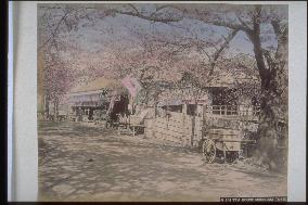 Teahouse at mukojima tsutsumi