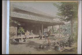 The garden of a teahouse