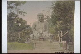 Daibutsu (the Great Buddha) of Kamakura