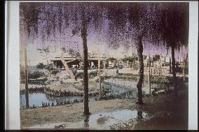 Wisteria trellis at a teahouse,the Nakasendo Road