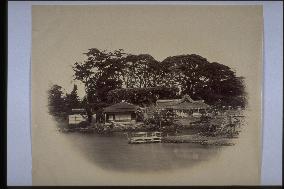 Hama detached palace