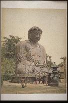 Daibutsu (the Great Buddha) of Kamakura