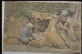 Wheat-threshing