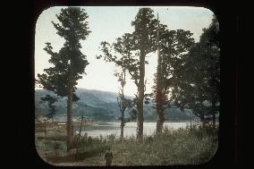 Lake Ashi