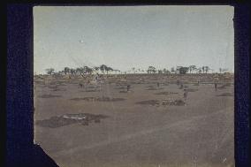 Salt field