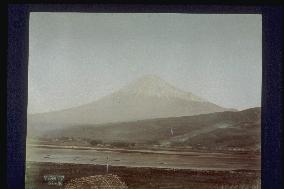 Mt. FUJI from fujinuma swamp