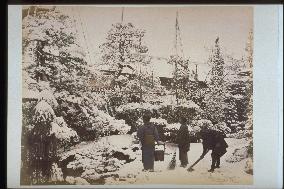 Garden in the snow