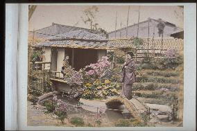 The garden of a teahouse