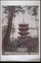 Five-tiered pagoda at Toji Temple