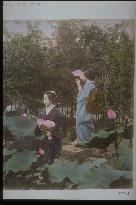 Women viewing lotus flowers