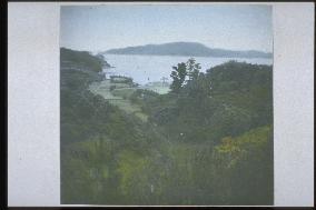 View of a bay from the hillside