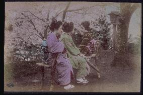 Women viewing cherry blossoms