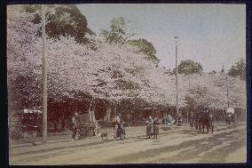 Ueno Park