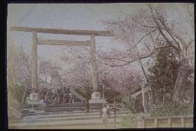 Ueno Park