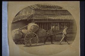 Men carrying straw bags on carts