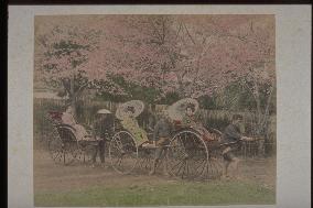 Women on jinrikishas