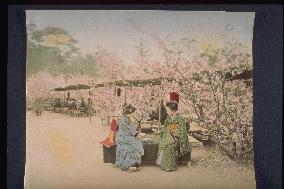 Women relaxing at a teahouse in a park