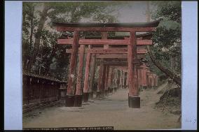 Torii gates at Fushimi Shrine