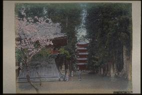Ikegami Honmonji Temple