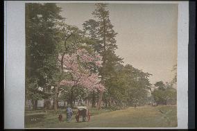 Ueno Park