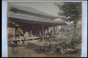 The garden of a teahouse