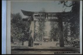 Niomon Gate and the torii,Taiyuin Shrine, Nikko
